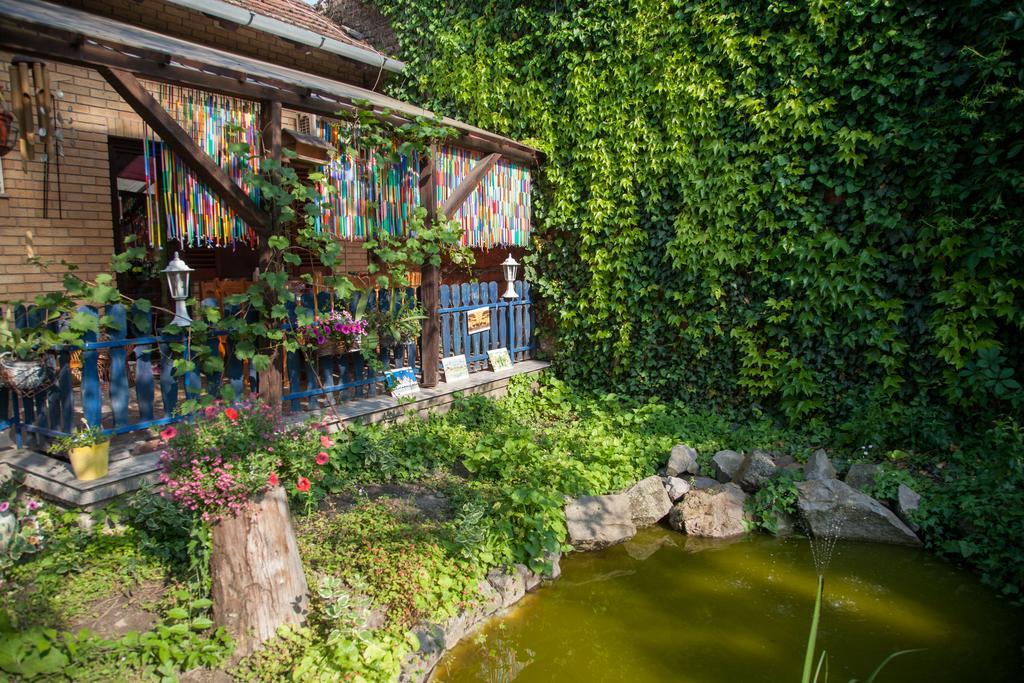 Medeno Srce Villa Palić Esterno foto