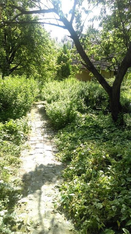 Medeno Srce Villa Palić Esterno foto