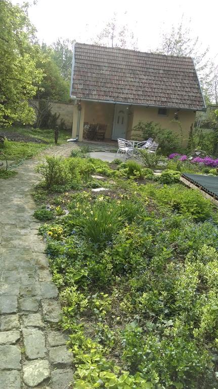 Medeno Srce Villa Palić Esterno foto
